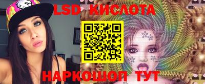 сатива Сланцы