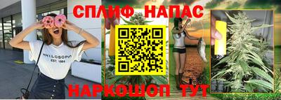 СК Славгород