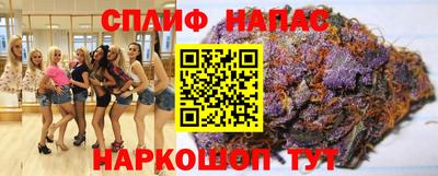 СК Славгород