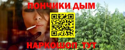 сатива Сланцы