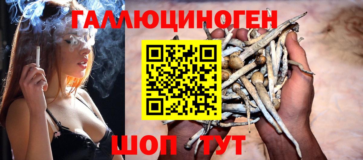 Галлюциногенные грибы MAGIC MUSHROOMS  где купить   Орехово-Зуево  Вход с VPN 