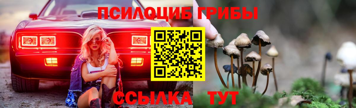 Галлюциногенные грибы GOLDEN TEACHER Орехово-Зуево